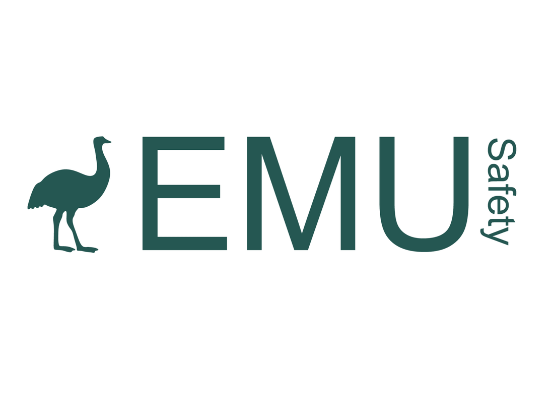 EMU Safety Glasses Are Now Available at Bunnings Warehouse Australia - EMU Safety